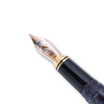 Fountain Pen 2006 Fine