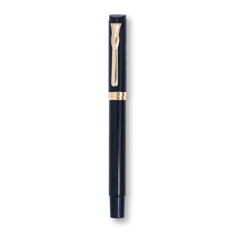 Hero Art Fountain Pen for Calligraphy & Sketching