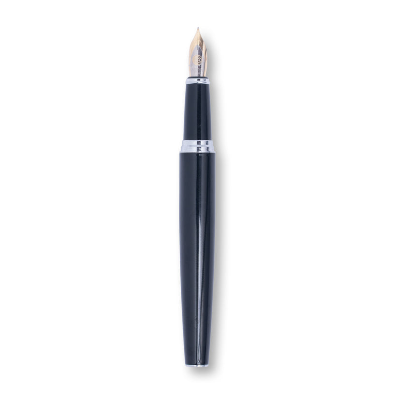 Hero Art Fountain Pen for Calligraphy & Creative Writing